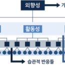 정연F&S | 성격심리학 [캐텔의 특질이론 / 아이젱크의 생물학적 유형론/성격의 5요인 모델]