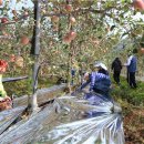 문백면사무소 이미지