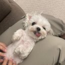 백화stay 네이버블로그