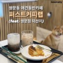 도봉-도봉-서울도봉-2087 | 유명견 덕선이 보러 쌍문동 애견동반카페 퍼스트커피랩 쌍문점 방문한 후기