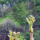 고요농장 이미지