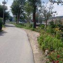 해바라기가맥 이미지