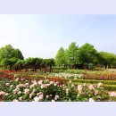 곡성-157 이미지