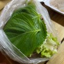 노량활어총판매식당
