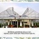 댄싱플라워교육원