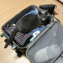 후루웨어 | (여행) 후쿠오카 한 번 훑구올까 ^^;;