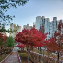 참(charm)행정사 사무소 이미지