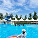 금강로하스산호빛공원 야외수영장 이미지