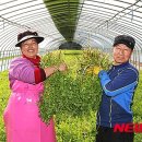 희망마을합천 이미지