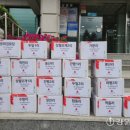 꽃순이네 이미지