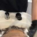 단발머리 | 상무지구 미용실 스물유 상무점 단발머리 빈티지펌 후기