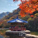백산조수골마을 | 여행지 9곳을 선정·추천..정읍 달고운청정사교마을, 남원 혼불체험관, 남원 달오름마을, 김제 벽골제마을