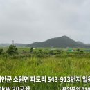 543태양광발전소 이미지