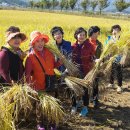 영동농장 이미지