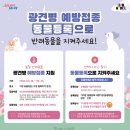 24시 스마트동물병원(신사본원) 이미지