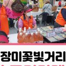 장미의거리9 이미지