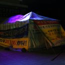 소금나무