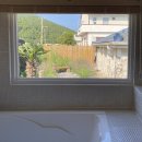 온온종달 이미지