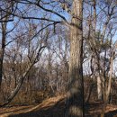 [광주 광산구]광주여대~동자봉(154m)~풍악정~어등산 석봉(338m)~풍악정~동자봉~광주여대 다녀오기(2018/12/15/토 오후) 이미지