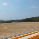 상주국제승마장 이미지