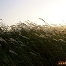 서천주차장 이미지