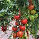 만경농장1 이미지