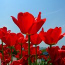 가양4종합사회복지관 이미지