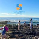 얼바인 | 미서부 스쿨링 고민이라면? LA·얼바인 대신 샌디에이고 스쿨링 후기