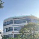 카운터 복싱 | [성남/판교대장] 카운터복싱 체험후기(가격, 시간)