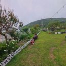 공주펜션심평재 이미지