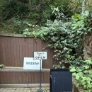 모드니(MODENY) | [WD/서울] MODENY 모드니 드레스 피팅 후기 및 야외 촬영 드레스 계약 후기