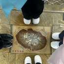 대만 예스폭지 일일 버스투어 이용 후기