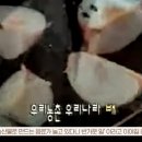 카피나라 이미지