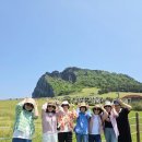 투어제주 | 제주도 미니버스 대절 덕분에 편했던 봄 제주 투어 후기