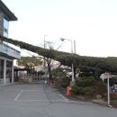 한림정주유소 네이버블로그