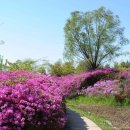 자연학습공원 이미지