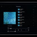 Naim Uniti Core : 시디를 저장할 수있는 멀티룸 뮤직서버 이미지