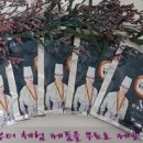 해국식품 복쟁이 이미지