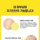 보니따피부관리 이미지