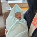 봄빛정원 | 봄빛병원 출산후기 초산맘 제왕절개 5일차 무한수유콜 드디어 퇴원