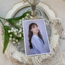 스튜디오드엘리 네이버블로그