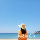 바이하나짱 네이버블로그