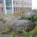 스트로마톨라이트 이미지