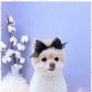 토리살롱 이미지