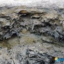 상주 공검지 이미지