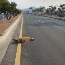 주은상사 이미지