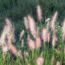 검성로5-1 이미지