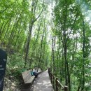 거창 항노화 힐링랜드 자연휴양림 이미지