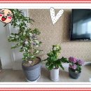 기술보급과 이미지