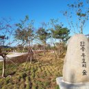 한중우호의숲 이미지